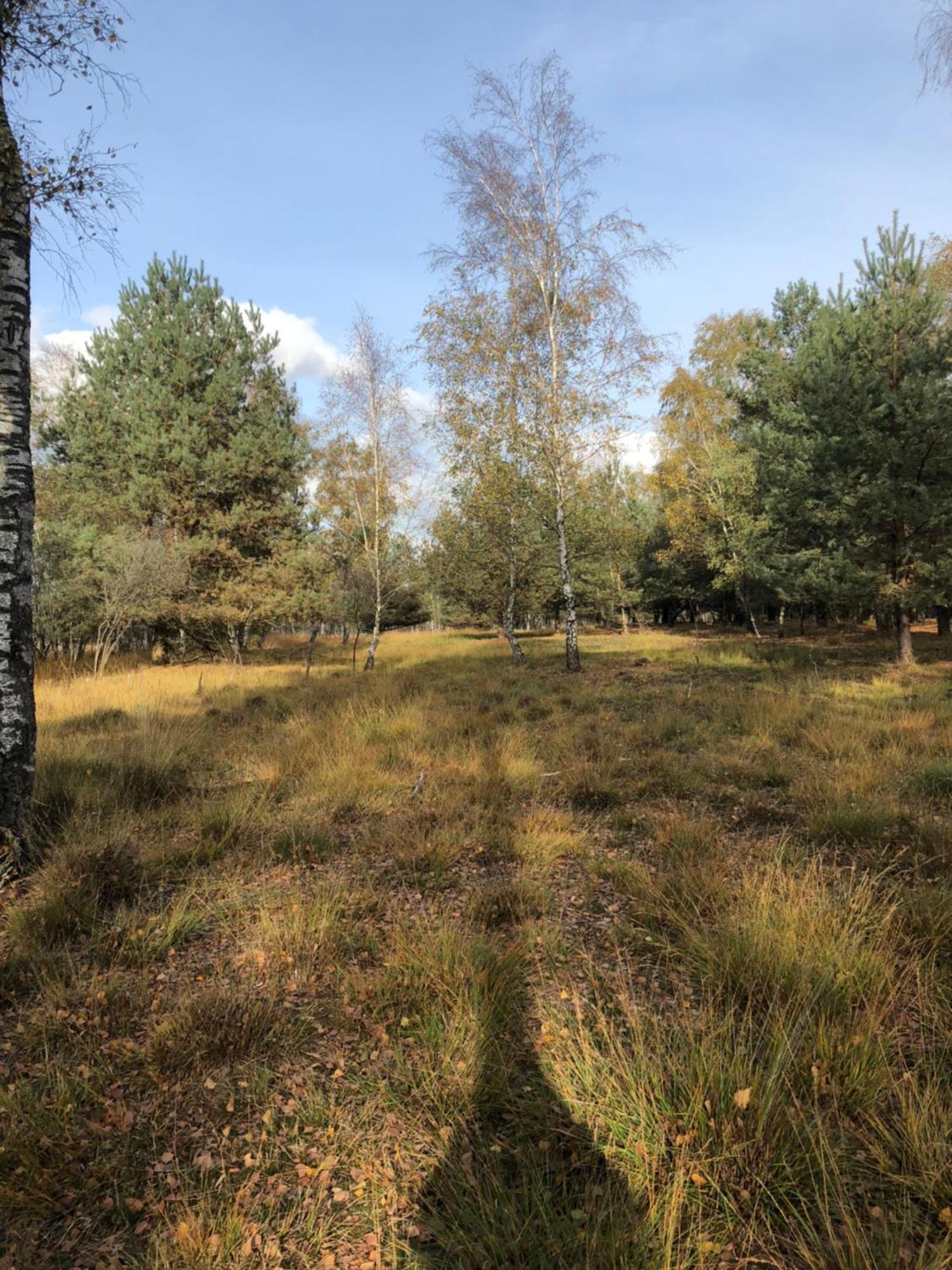 City Apparte Exklusiv - Direkt Am Antonius-Hospital - Stilvoll Wohnen Im Herzen Von Gronau Gronau  Dış mekan fotoğraf